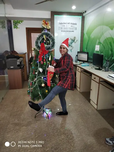 Decorating the Christmas tree